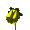 :animated-gifs-flowers-242:
