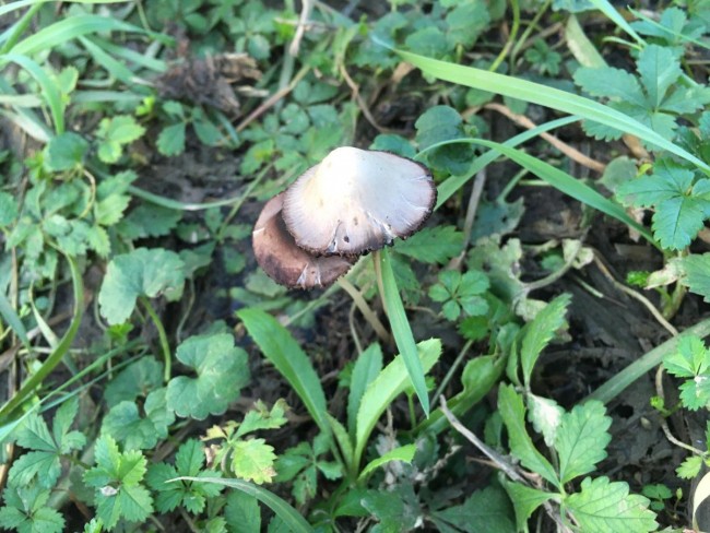 WhatsApp Image 2020-11-20 at 13.52.52.jpeg